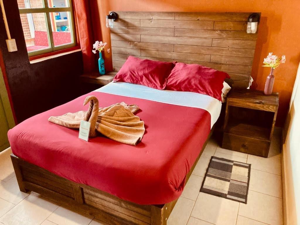 Hotel Casa Flor De Vida San Cristóbal de Las Casas Zewnętrze zdjęcie