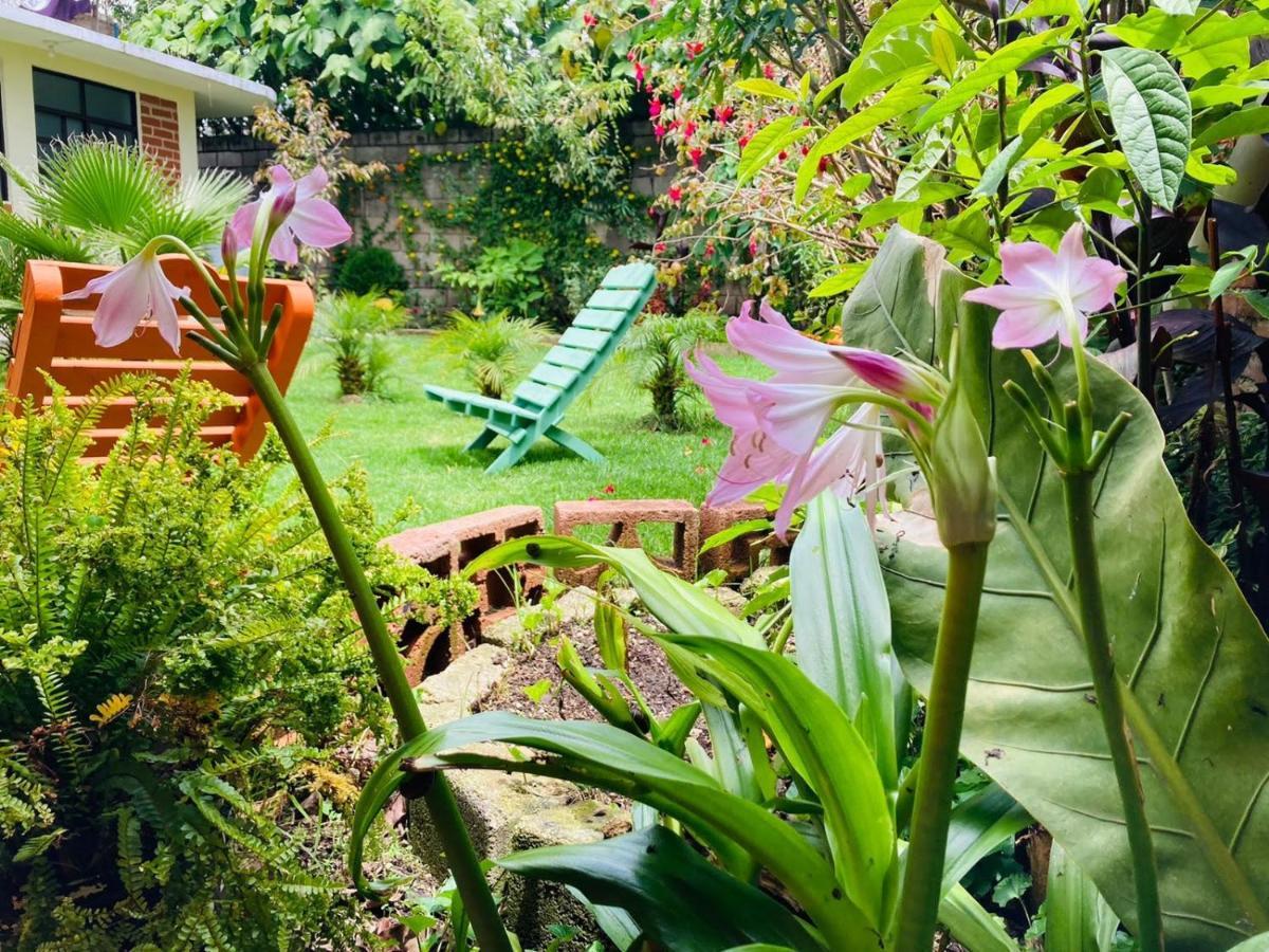Hotel Casa Flor De Vida San Cristóbal de Las Casas Zewnętrze zdjęcie