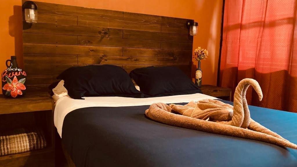 Hotel Casa Flor De Vida San Cristóbal de Las Casas Zewnętrze zdjęcie