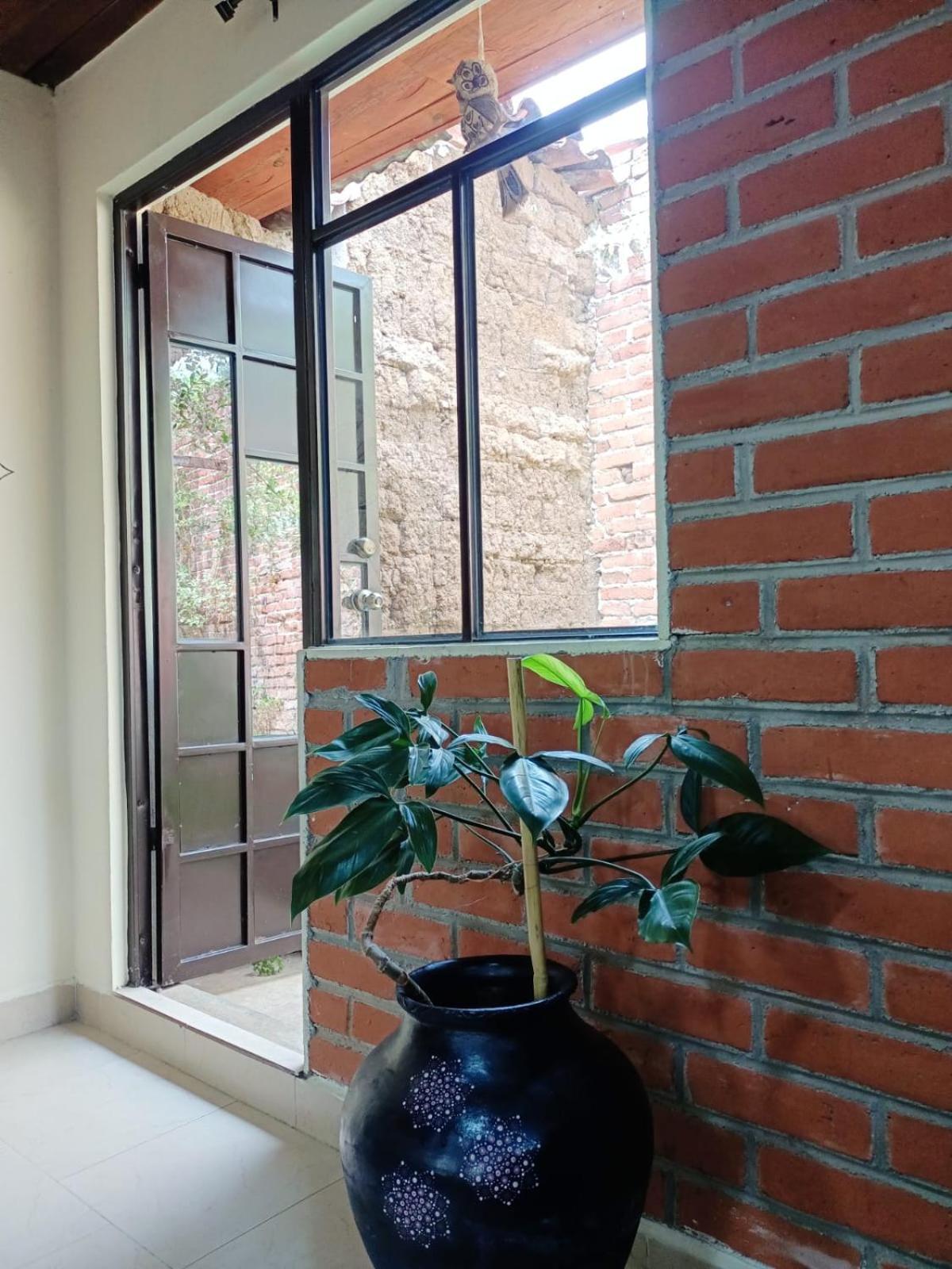 Hotel Casa Flor De Vida San Cristóbal de Las Casas Zewnętrze zdjęcie